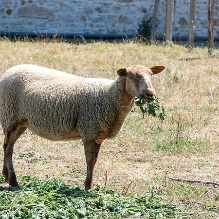 Yourte Mongole Insolite En Pleine Nature Luxusní stan