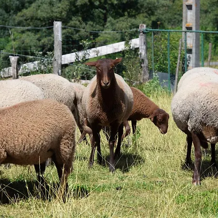 Yourte Mongole Insolite En Pleine Nature Pouilly-sous-Charlieu