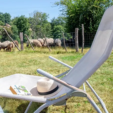 Yourte Mongole Insolite En Pleine Nature