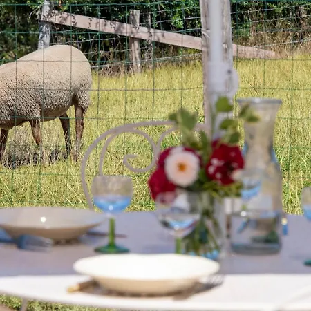 Yourte Mongole Insolite En Pleine Nature Pouilly-sous-Charlieu